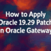 How to Apply Oracle 19.29 Patch in Oracle Gateway: A Step-by-Step Guide