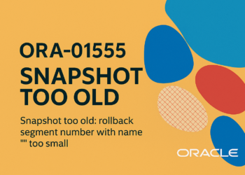 ORA-01555: Snapshot Too Old