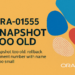 ORA-01555: Snapshot Too Old