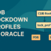 PDB Lockdown Profiles in Oracle