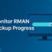 How to Monitor RMAN Backup Progress in Oracle: Simple SQL Query Guide