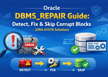 Oracle DBMS_REPAIR
