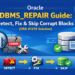 Oracle DBMS_REPAIR