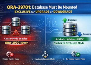ORA-39701