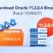 Download Oracle 11.2.0.4 Binaries (Patch 13390677) – Complete Guide