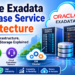Oracle Exadata Database Service Architecture: Networking, Infrastructure, VM Clusters, and Storage Explained