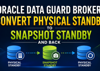 Convert Physical Standby to Snapshot Standby