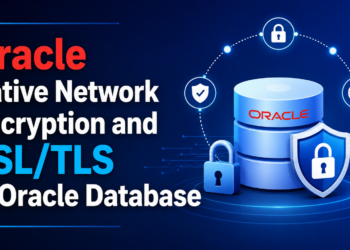 Oracle Native Network Encryption and SSL/TLS in Oracle Database