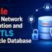 Oracle Native Network Encryption and SSL/TLS in Oracle Database