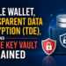 Oracle Wallet, Transparent Data Encryption (TDE), and Oracle Key Vault Explained