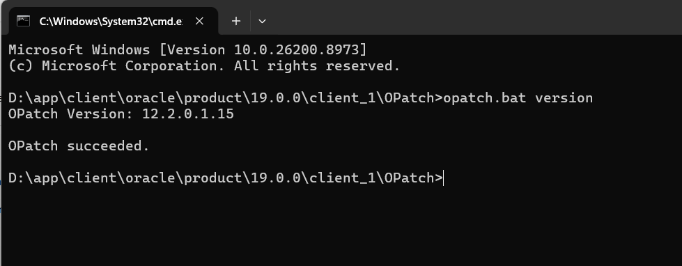 Oracle Database Client 19c to Release Update (RU) 19.32 on Windows