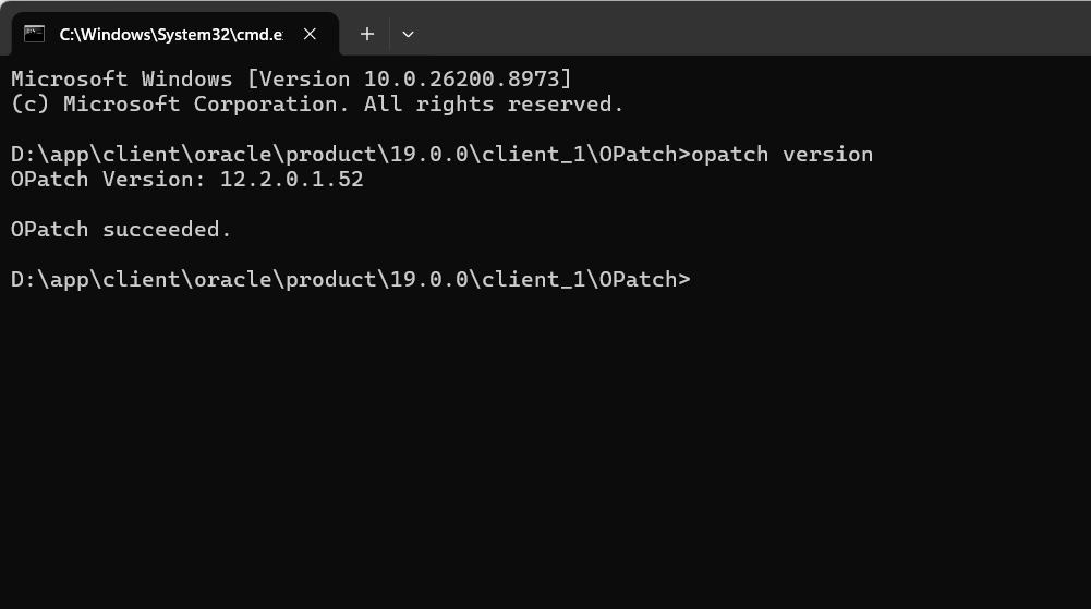 Oracle Database Client 19c to Release Update (RU) 19.32 on Windows