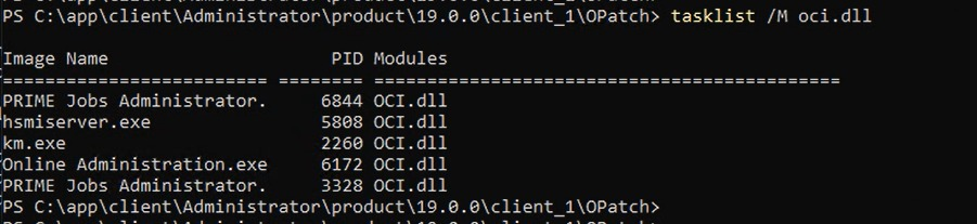 CheckActiveFilesAndExecutables