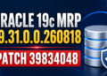 39834048